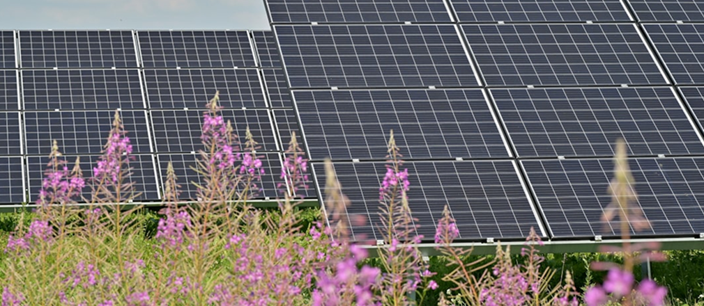 Desert Sun Solar Farm
